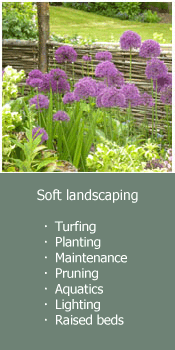 soft landscaping